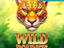 Wild Pounce screenshot